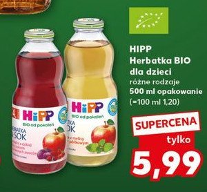 Herbatka z dzikiej róży z sokiem z czerwonych owoców Hipp herbatka & sok promocja