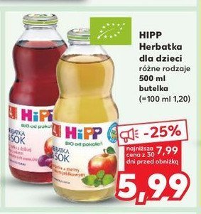 Herbatka z dzikiej róży z sokiem z czerwonych owoców Hipp herbatka & sok promocja