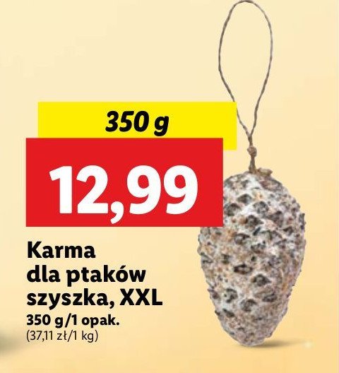 Karma dla ptaków szyszka promocja