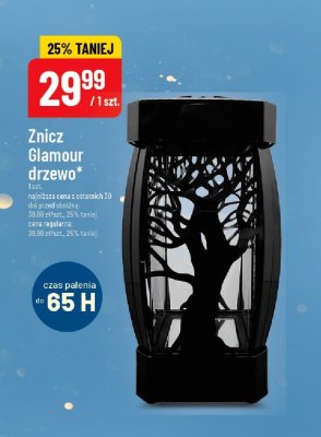Znicz Glamour drzewo promocja w POLOmarket