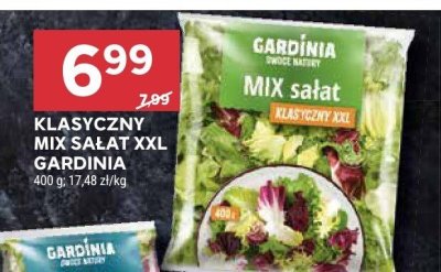 Klasyczny mix sałat XXL Gardinia promocja w Stokrotka