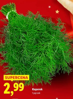 Koperek Lidl promocja w Lidl