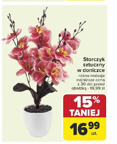 Storczyk sztuczny promocja w Carrefour