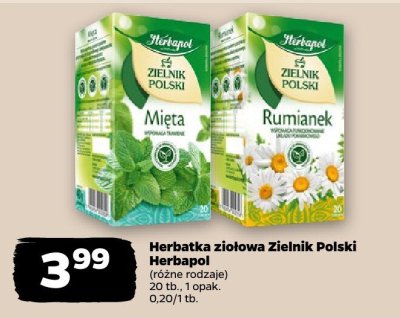 Herbatka ziołowa Zielnik Polski Herbapol Rumianek promocja w Netto