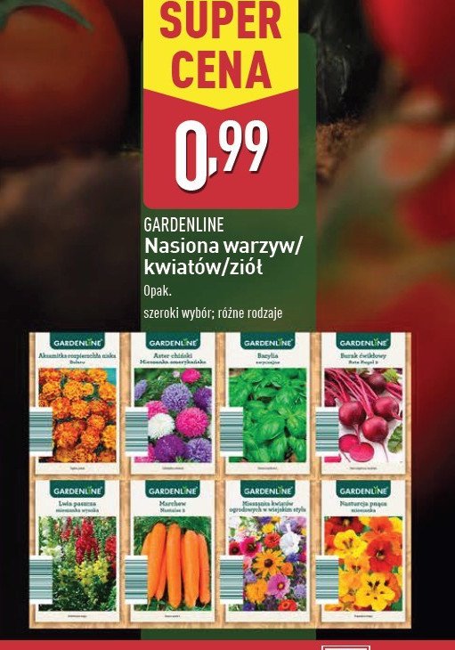 Mieszanka kwiatów GARDEN LINE promocja