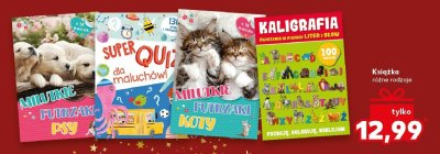 Książka Super Quiz dla maluchów różne rodzaje promocja w Kaufland