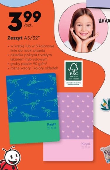 Zeszyt a5/32 k. w kratk臋 Kayet promocja