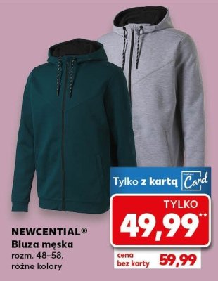Bluza męska różne kolory promocja w Kaufland