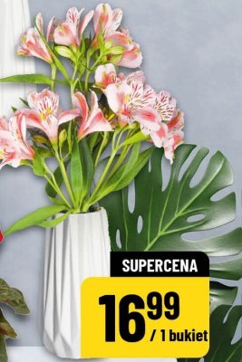 Astromeria bukiet 6 szt. promocja w POLOmarket