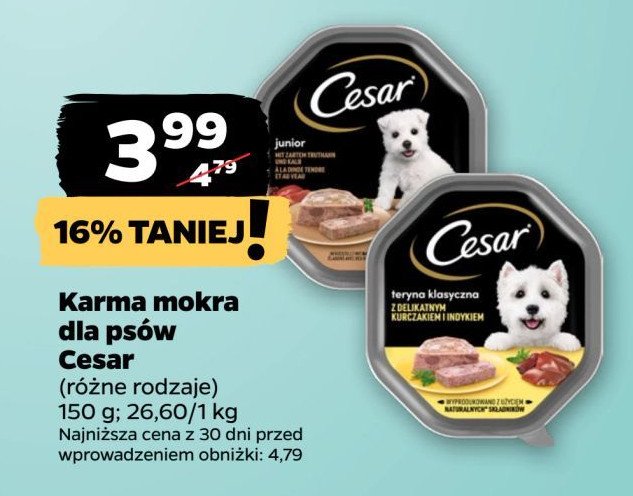 Karma dla psa z kurczakiem Cesar (karma) promocja