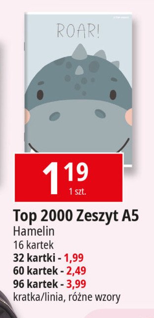 Zeszyt a5 zozole 16 kartek kratka Top-2000 promocja