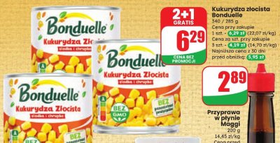 Przyprawa w płynie Maggi promocja w Dino