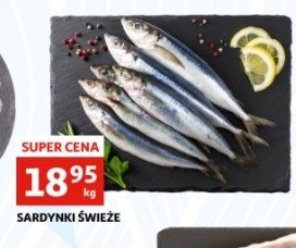 Sardynki świeże promocja