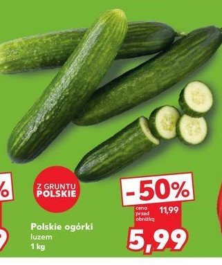 Og贸rki polskie promocja