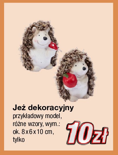 Je偶 dekoracyjny 8 x 6 x 10 cm promocja