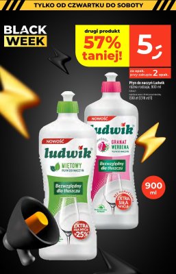 Płyn do naczyń Ludwik różne rodzaje promocja w Dealz
