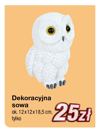 Sowa dekoracyjna promocja