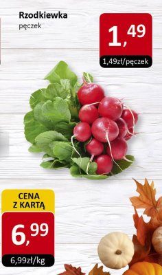 Rzodkiewka pęczek promocja w Market Point