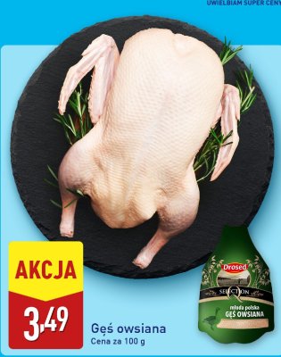 Gęś promocja w Aldi