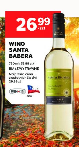 Wino SANTA BABERA SAUVIGNON BLANC promocja