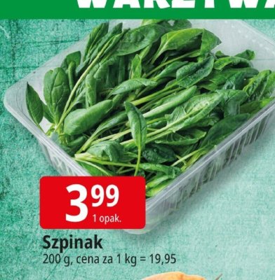 Szpinak Leclerc promocja w Leclerc