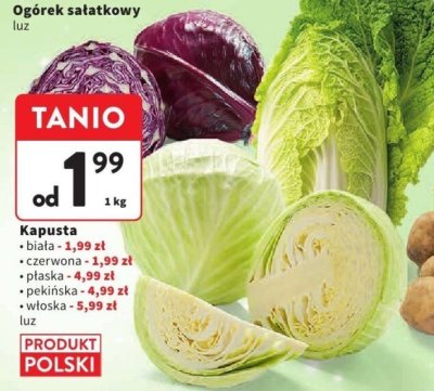 Kapusta pekińska promocja w Intermarche