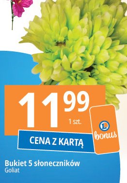 Bukiet 5 s艂onecznik贸w Goliat promocja