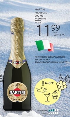 Wino musujące MARTINI PROSECCO 200 ML promocja w Selgros
