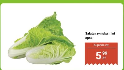 Sałata rzymska mini opak. promocja w Biedronka