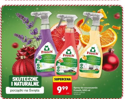 Spray do czyszczenia Frosch, 500 ml, różne rodzaje promocja w Biedronka
