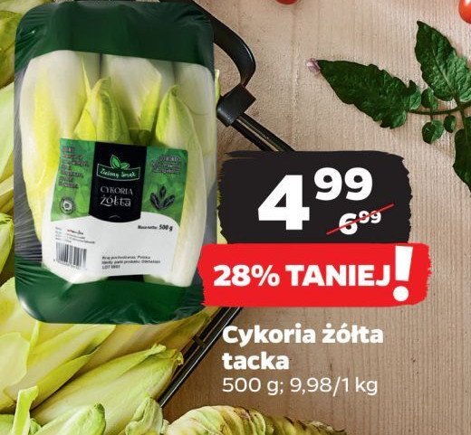 Cykoria żółta Zielony smak promocja