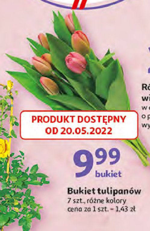Tulipany bukiet promocje