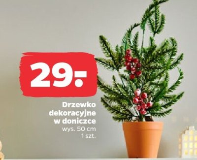 Drzewko dekoracyjne w doniczce wys. 50 cm promocja w Netto