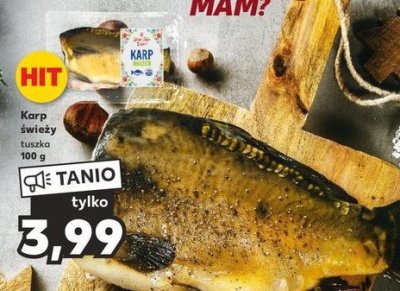 Karp tusza K-classic stąd takie dobre! promocja