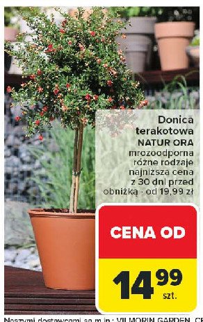 Donica terakotowa natur ora promocja w Carrefour Market