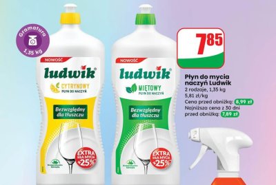 Płyn do mycia naczyń cytrynowy promocja w Dino