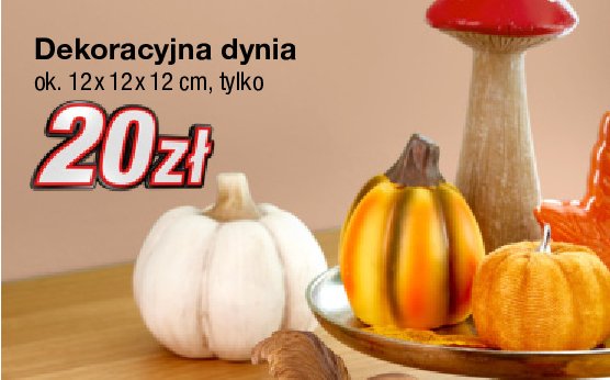 Dynia dekoracyjna 12 x 12 x 12 cm promocja