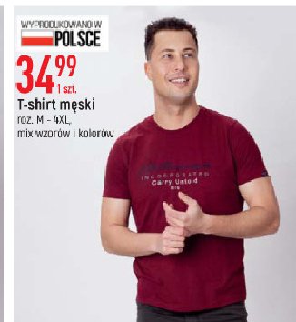 T-shirt męski m-4xl promocja
