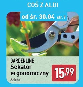 Sekator ergonomiczny ogrodowy promocja w Aldi