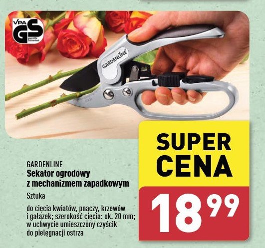 Sekator zapadkowy Gardenline promocja