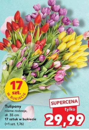 Tulipany 35 cm promocja w Kaufland