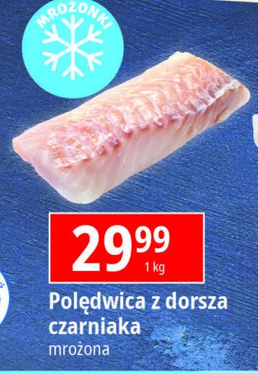 Dorsz czarniak - pol臋dwica promocja