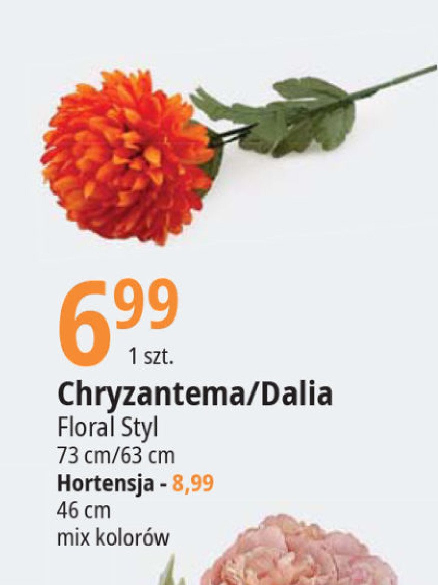 Chryzantema pojedyncza 73 cm Floral styl promocja