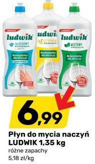 Płyn do mycia naczyń LUDWIK 1,35 kg różne zapachy promocja w Bricomarche
