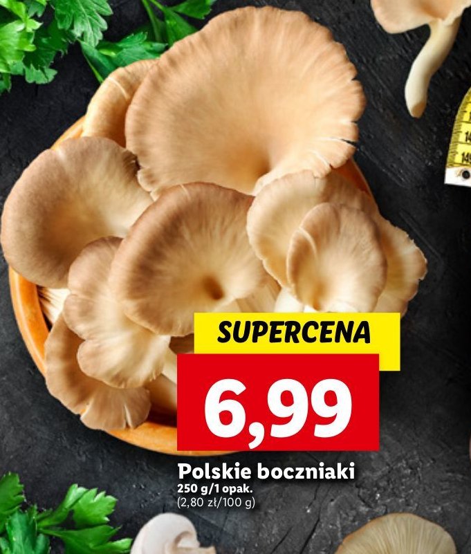 Boczniaki polska promocja