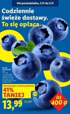 Borówki amerykańskie 400 g promocja w Lidl
