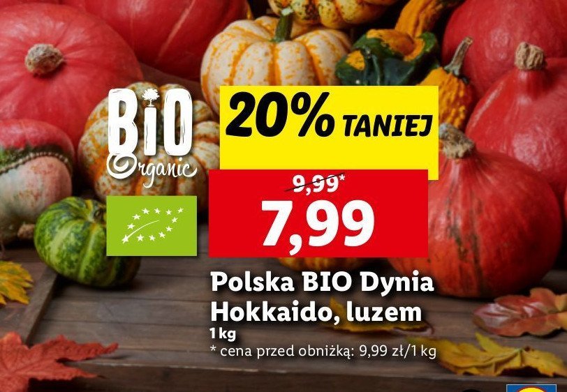 Dynia hokkaido bio promocja