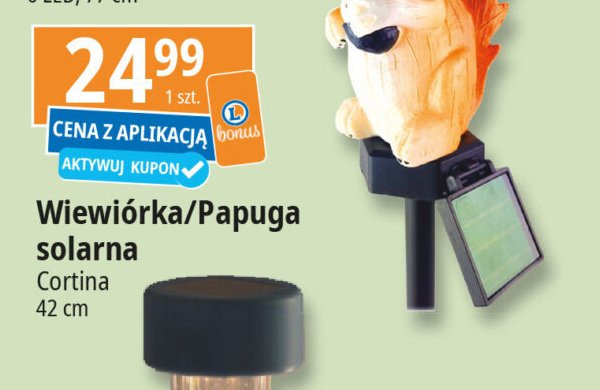 Wiewiórka Cortina promocja w Leclerc