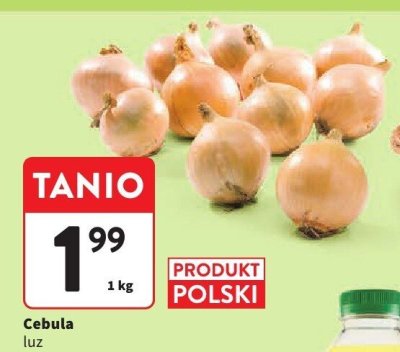Cebula luz Intermarche promocja w Intermarche