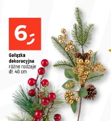 Gałązka dekoracyjna różne rodzaje dł. 40 cm promocja w Dealz